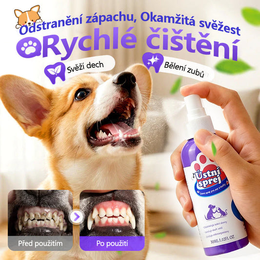 ✨ CleraNaure® Zubní sprej pro domácí mazlíčky bez kartáčku