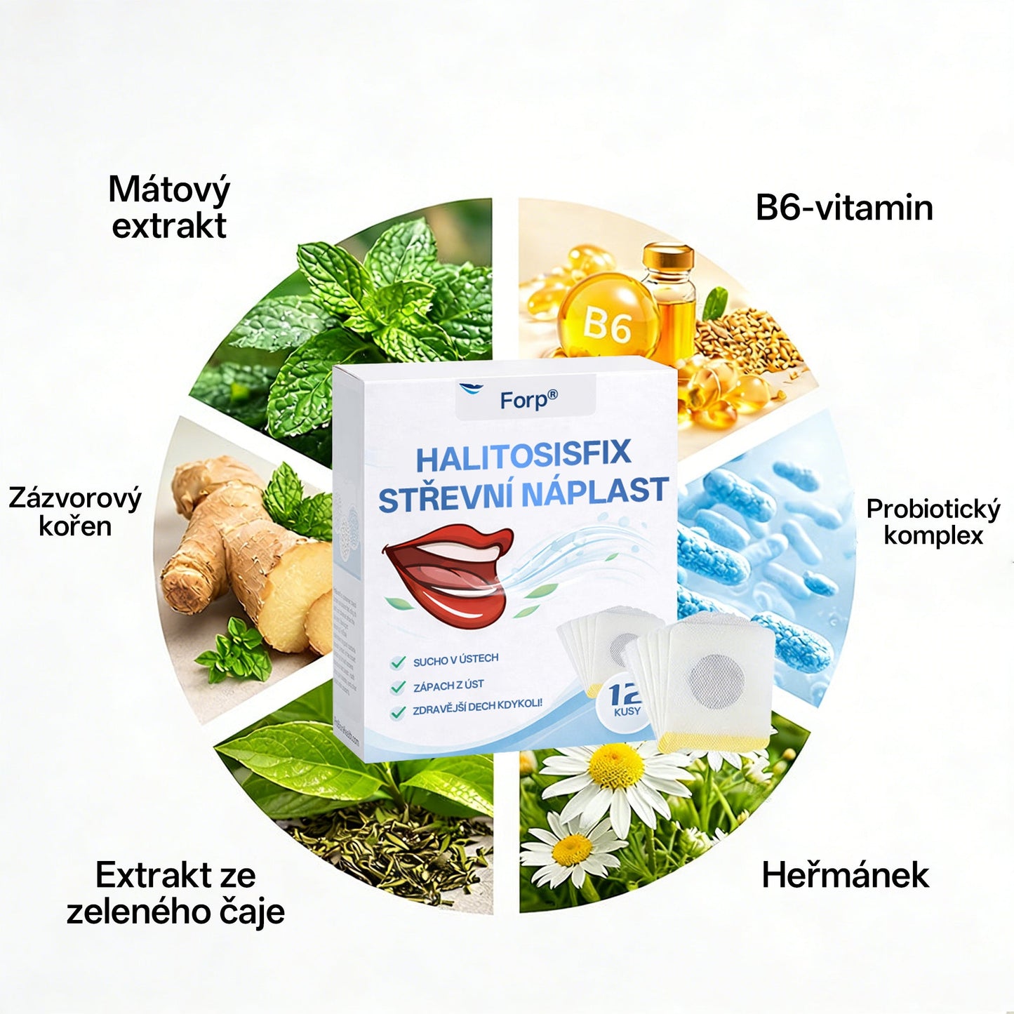 🔥Best Seller🔥Forp® HalitosisFix Gut Patch🎉Special limited-time discount-🌿